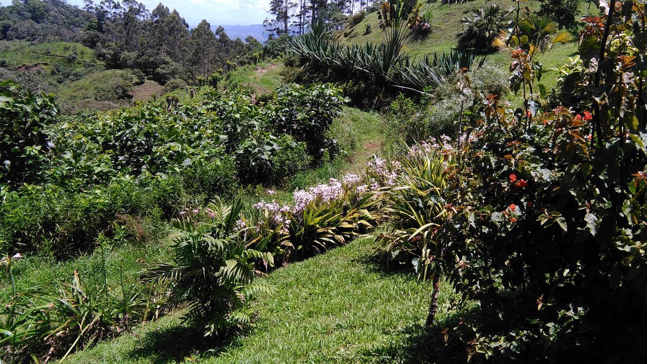 Villa Finca Y Granja Loma Bonita Turrialba Exterior foto